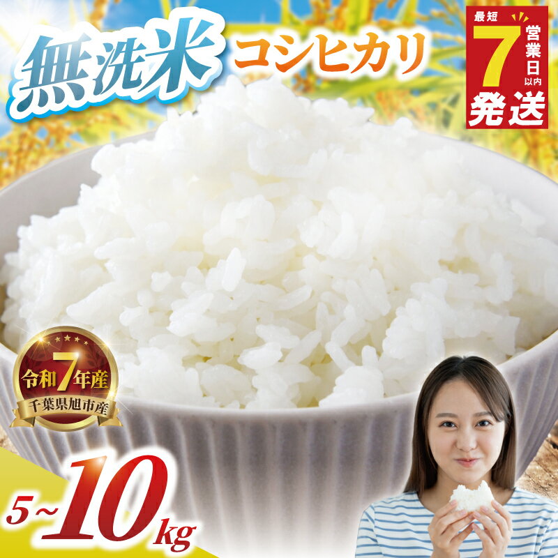 【ふるさと納税】 ＼最短7営業日以内発送／ 無洗米 こしひかり 5kg 10kg 令和7年 千葉県産 コシヒカリ 精米 白米 米 2025 7年産 令和7年産 無洗 お米 ご飯 こめ kome ごはん ライス ふるさと納税米 防災 備蓄 産地直送 送料無料 国産 千葉 千葉県 旭市 BANJYO farm