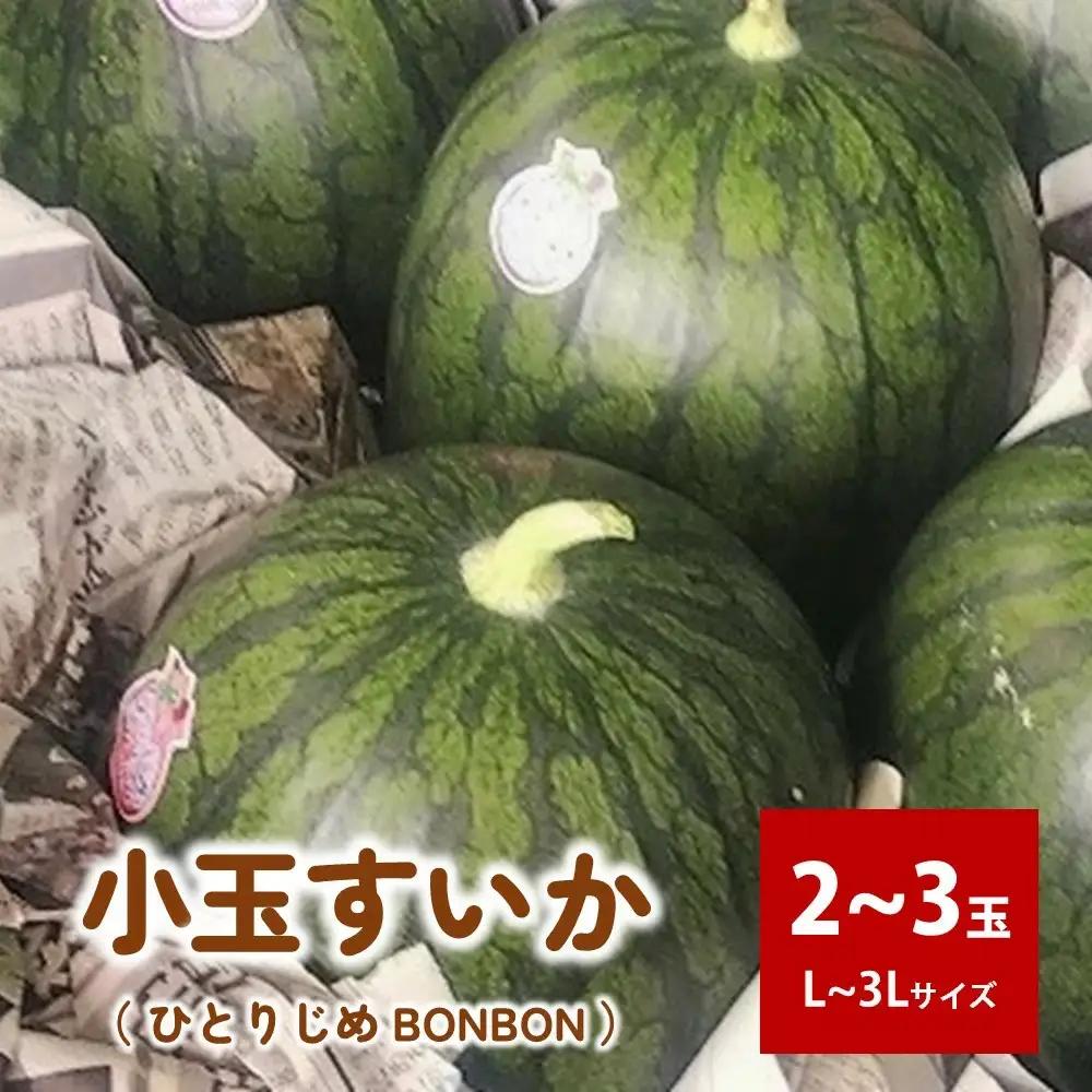 小玉すいか（ひとりじめBONBON）２～３玉　0011-2602
