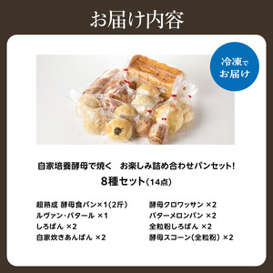 自家培養酵母の旨味を堪能♪お楽しみ詰め合わせパンセット！ 065-05 | パン