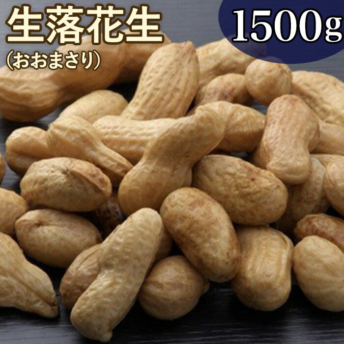 【ふるさと納税】落花生 千葉八街産 古谷さんの手もぎ生落花生/おおまさり 1.5kg （ゆで落花生用）八街産落花生 落花生おおまさり 落花生八街 ふるさと納税 落花生業者会 出由本店 千葉県 落花生 生 新豆