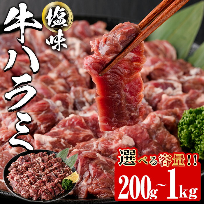 【ふるさと納税】＜内容量が選べる＞ 塩味 牛ハラミ (計200g・計800g・計1kg) 小分け 牛肉 肉 ハラミ 牛はらみ 味付け 焼肉 塩 BBQ 冷凍 大分県 佐伯市【DH297・DH298・DH299】【(株)ネクサ】