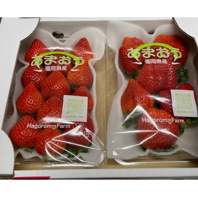 ふくおかエコ農産物認証いちご 福岡県産あまおう苺 約250g×2P(3月から4月中旬発送)宇美町【配送不可地域：離島・北海道・沖縄県】
