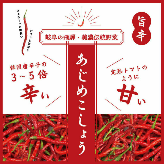 LGASIA オリジナルスパイスAJIME 15g×3本 詰替え15g×3袋 / アウトドア キャンプ スパイス 調味料 / 恵那市 / ＭＡＣ [AUDM030]
