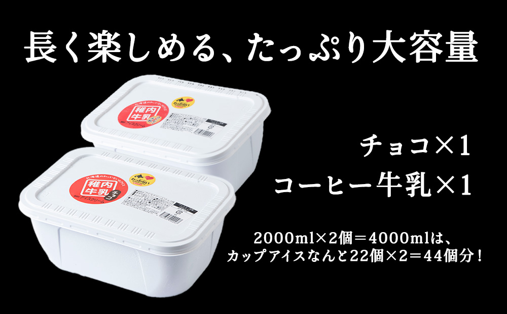 【業務用】稚内牛乳アイスクリーム2000mlチョコ×コーヒー牛乳2個セット