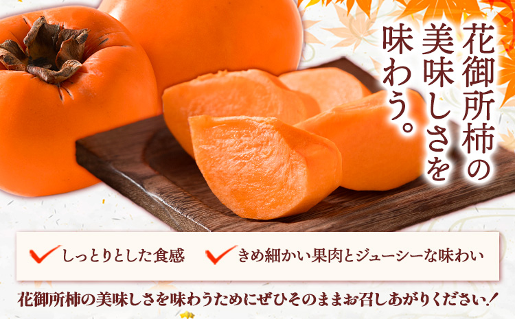 ご家庭用 柿 八頭町が誇る 日本随一の 甘柿 花御所柿 約2kg Tottori食のまごころ農園 《12月上旬-12月下旬頃出荷》鳥取県 八頭町 柿 かき カキ 花御所柿 甘柿 果物 フルーツ 訳あり