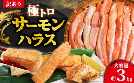 訳あり トロ サーモン ハラス 約3kg （約1kg×3） アトランティックサーモン サーモンハラス トロサーモン サーモン 鮭 さけ しゃけ 規格外 小分け 冷凍 真空 真空パック お弁当 惣菜 おかず 塩焼き 長期保存 鮮度 旨味 お取り寄せ グルメ 食品 魚 魚貝 大容量 ギフト 贈答 贈物 贈り物 プレゼント 海鮮 ふるさと納税 ふるさと納税サーモン 送料無料 千葉県 銚子市 荒野商店