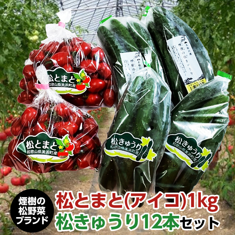 【煙樹の松野菜ブランド】<br>松とまと（アイコ）松きゅうりセット 2025年11月中旬～2026年6月上旬頃に順次発送予定