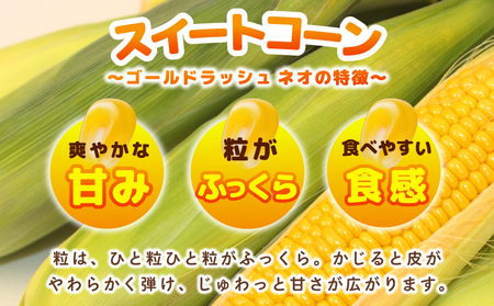 【先行予約】とうもろこし(ゴールドラッシュ ネオ) 約2.5kg（7～8本）