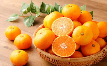 熊本県産みかん BUSAIKU MIKAN 3kg 【2026年10月上旬発送開始】 フルーツ 果物 くだもの みかん 蜜柑 柑橘