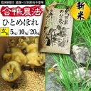 【ふるさと納税】 新米 令和6年産 ひとめぼれ 玄米 合鴨農法 武田家のお米 5kg 10kg 20kg 送料無料 米 あい鴨 カモ アイ鴨 鴨 アイガモ 選べる 5キロ 10キロ 20キロ 国産 美味しい 少量 産地直送 農家直送 お米 ご飯 コメ おにぎり 弁当 単一原料米 岩手県産 岩手県 滝沢市