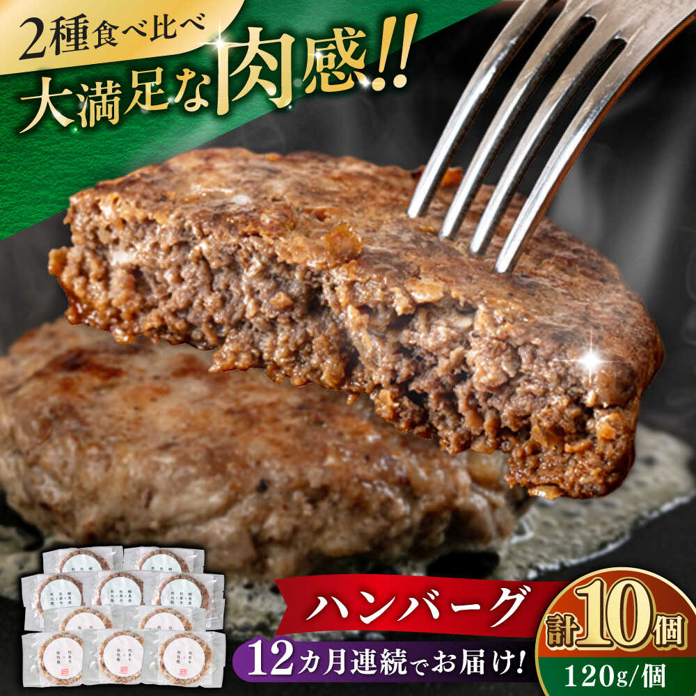 【ふるさと納税】【全12回定期便】ハンバーグ 食べ比べ 10個セット（蝦夷鹿/牧草牛/放牧豚）《厚真町》【GOODGOOD株式会社】 ハンバーグ 鹿肉 牛肉 豚肉 セット 食べ比べ 小分け 冷凍配送 北海道[AXBP049]