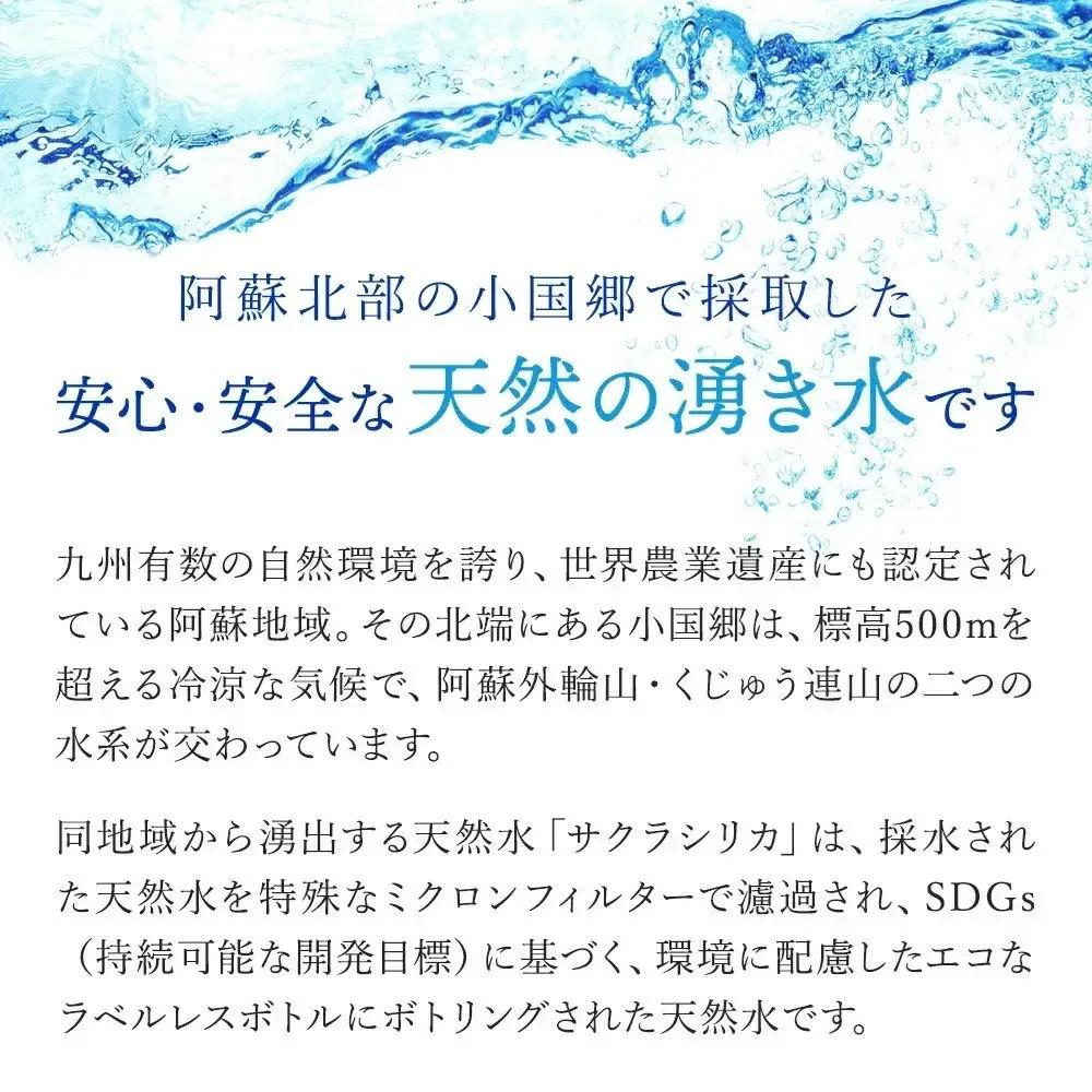 【桜屋】6回 定期便 シリカ天然水 サクラシリカ 500ml 16本 6回 計96本 シリカ含有量99mg/L シリカ水 ラベルレス 水 ミネラルウォーター 飲料水 飲料 ペットボトル ナチュラルウォ