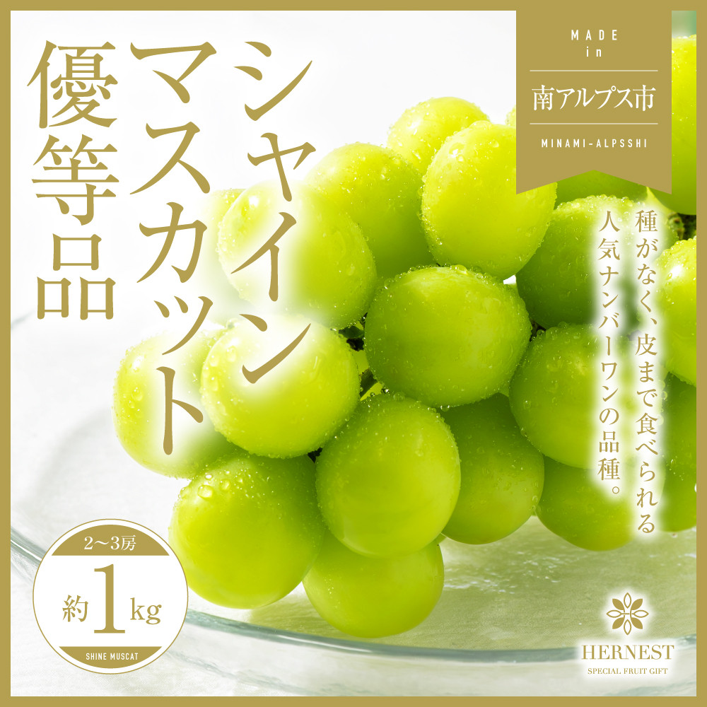 
            ＜2026年発送分先行予約＞山梨県南アルプス市産シャインマスカット　優等品　約1ｋｇ　2～3房 ALPAH008
          