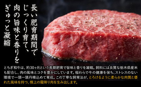 黒毛和牛 とちぎ和牛 厚切り ヒレ フィレ A4～A5等級 霜降り 赤身 ステーキ 極上 300g 数量限定 牛肉 冷凍 《30日以内に出荷予定(土日祝除く)》 冷凍庫 個別 以内 ブランド牛