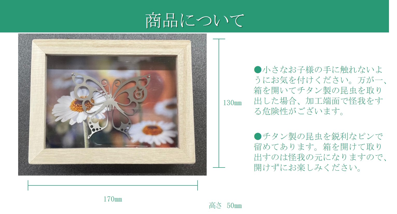薄板チタン昆虫細工シリーズ（蝶）　【0067-010】_イメージ2