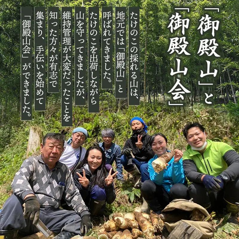 【令和9年産先行予約】庄内の春の味覚　やわらかい朝堀り湯田川孟宗（たけのこ）約2kg　山形県鶴岡市　にこにこふぁーむ　K-956　| 筍 竹の子 新鮮 旬の野菜 産地直送 春野菜 季節限定 国産 人気