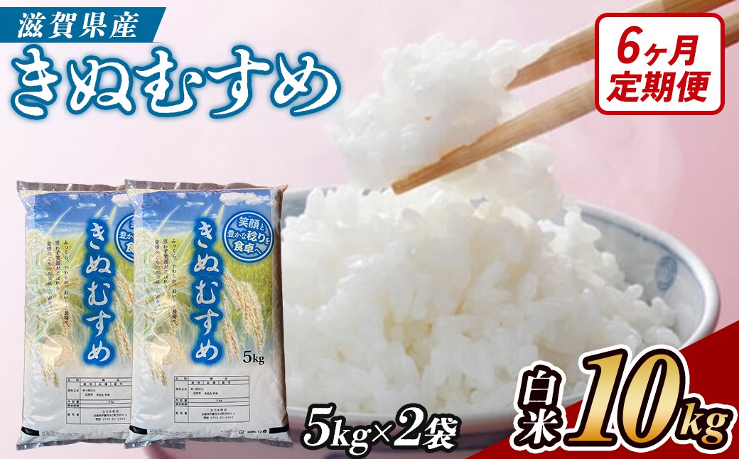
                  【6ヶ月定期便】【令和7年産】近江米きぬむすめ白米10kg（5kg×2袋）
                
