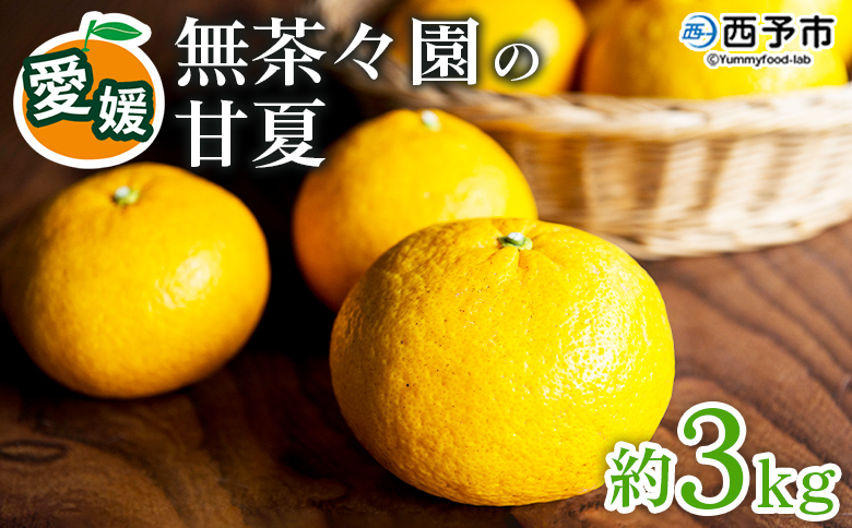【先行予約】＜無茶々園の甘夏 約3kg＞ 果物 あまなつ みかん ミカン 蜜柑 柑橘 フルーツ 期間限定 季節限定 食べて応援 特産品 愛媛県 西予市