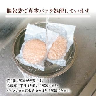 6ヶ月定期便 四万十ポーク入りハンバーグ 2.4kg(200g×12個)