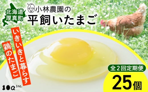 【全2回定期便】【常温配送】小林農園の平飼いたまご・無投薬 25個《厚真町》【テンアール株式会社】 有精卵 卵 鶏卵 玉子 生卵 平飼い 北海道 定期便 [AXAN125]
