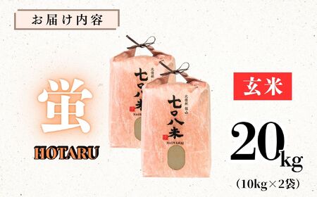 玄米 コシヒカリ 20kg 令和7年産 長野県産 【708米 蛍】 玄米 コシヒカリ 20kg 7-39