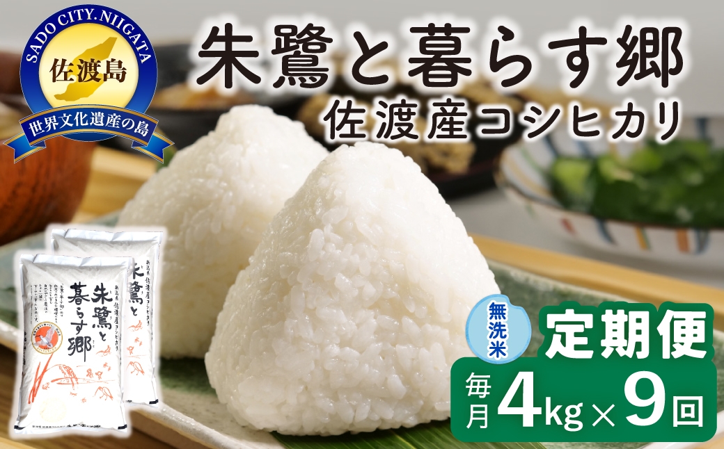 
                  【定期便 令和8年産新米 9か月】 佐渡島産コシヒカリ 無洗米 4Kg(2kg×2袋） 令和8年産新米 特別栽培米 | 新潟県産コシヒカリ 新潟産コシヒカリ 佐渡産コシヒカリ 新潟県産こしひかり 佐渡産こしひかり お米 米 こしひかり 無洗米 むせんまい 精米 おこめ コメ 4キロ にいがた さど 新潟県 佐渡市 195962-5022
                