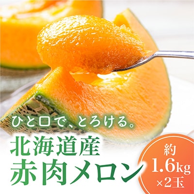 【2026年発送】北海道産赤肉メロン約1.6kg×2玉_02061【配送不可地域：離島】【1451336】