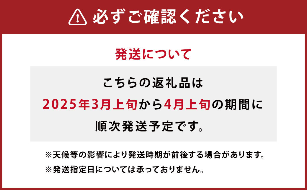 特別栽培 不知火（サイズミックス）約5kg