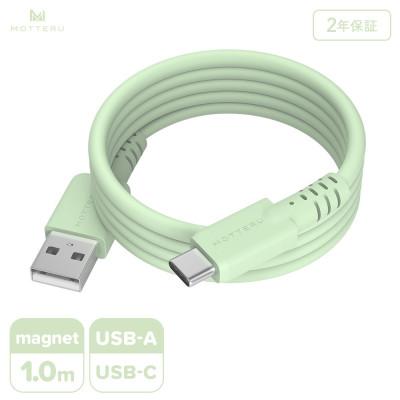 ふるさと納税 海老名市 マグネットシリコンケーブル A to C 1m ピスタチオ(MOT-MGSAC100) | 