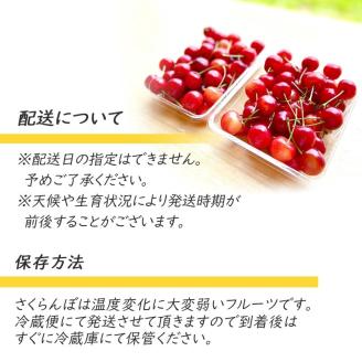 【令和6年産 先行予約】さくらんぼ 紅さやか M～Lサイズ混合 バラ詰め 800g(200g×4p)　山形県鶴岡市産　鈴木?農園