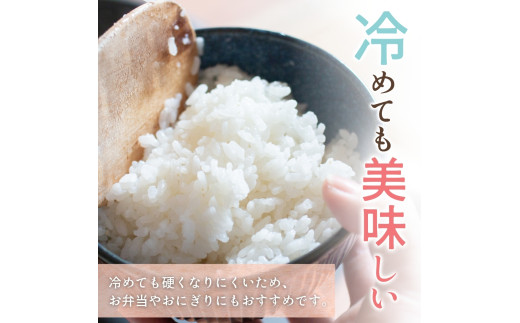  米 キヌヒカリ 2025年9月中旬より順次発送 和歌山県産 10kg  (2025年産) / 精米 お米 由良町 白米 きぬひかり 和歌山県【sml400-kinu-10D】