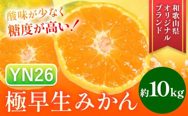 みかん 極早生みかん YN26 約10kg