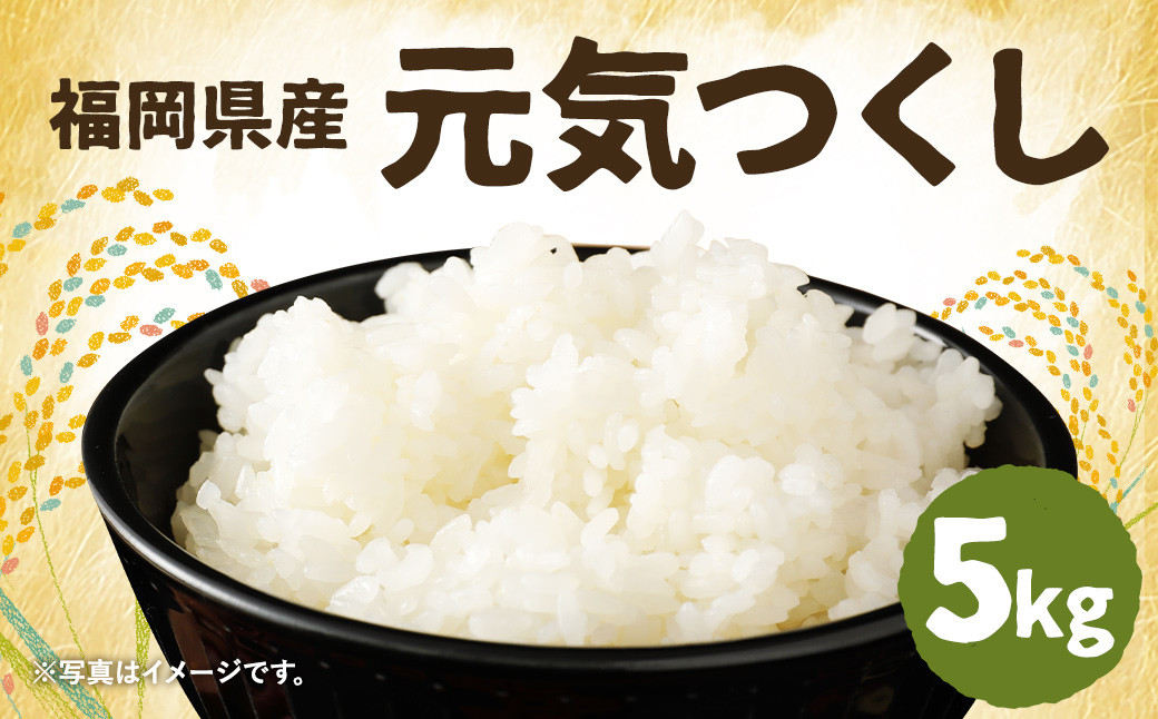 
                  【先行予約】令和7年産 元気つくし 5kg×1袋 / 米 お米 ご飯 精米 九州 福岡
                