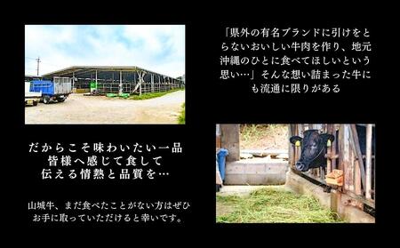【2024年5月発送】【入手困難】【幻の黒毛和牛】『山城牛』【雌牛限定】サーロイン　ステーキカット250g　精肉　発送前にカット　急速冷凍　鮮度抜群　高級　肉　牛肉　黒毛和牛　霜降り　雌牛　柔らか　ス