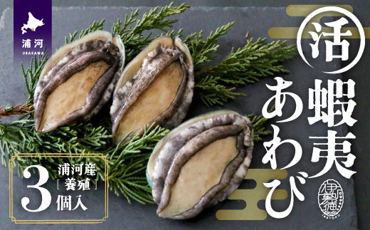 
                  【12月発送！】活蝦夷あわび×3個[46-1345]
                