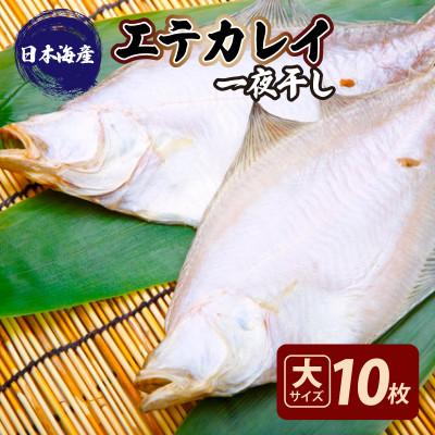 ふるさと納税 京丹後市 【先行予約/店主一押し!絶品干物!高リピート!】エテカレイ一夜干し干物セット 大(夕食サイズ)10枚