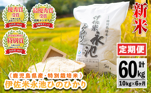 H4-01 【定期便】令和6年産 新米 特別栽培米 伊佐米永池ひのひかり(計60kg・10kg×6ヶ月)【エコファーム永池】