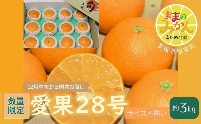 【数量限定　先行予約】訳あり愛果28号サイズ不揃い約3キロ家庭用 12月中旬頃～順次発送〈産地直送　愛媛県　甘い　みかん　フルーツ〉