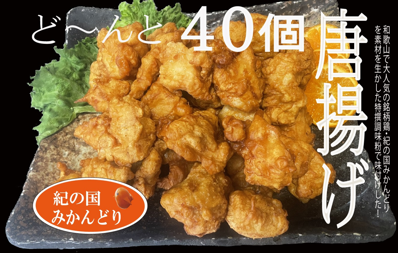 
                  紀の国みかんどり 特選 唐揚げ【からあげ 鶏から 冷蔵 チルド 惣菜 弁当 おかず】_DO6004n
                