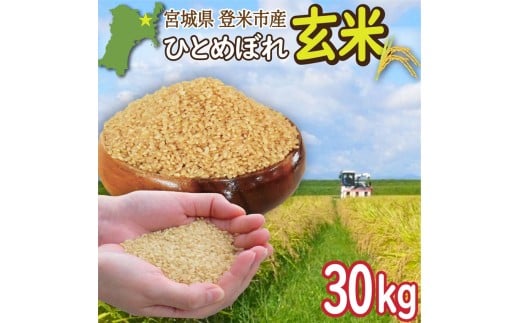 ＜先行予約！2025年9月末より順次発送予定＞≪令和7年産・新米≫  宮城県登米市産 ひとめぼれ 玄米 30kg お米 おこめ 米 白米 コメ ご飯 ごはん おにぎり お弁当 ブランド米【有限会社伊豆沼農産】tm408