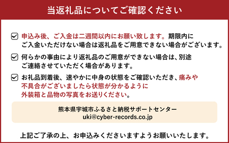 訳あり 河内晩柑 8kg【2025年3月下旬から2025年7月下旬発送予定】晩柑 ジューシーオレンジ 果物 フルーツ 規格外 不揃い