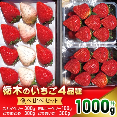 いちご王国ならでは!栃木のいちご4品種　食べ比べセット【配送不可地域：離島・沖縄】【1389625】
