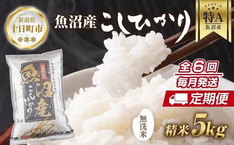 コシヒカリ 定期便 無洗米 魚沼産 5kg×6回 コシヒカリ