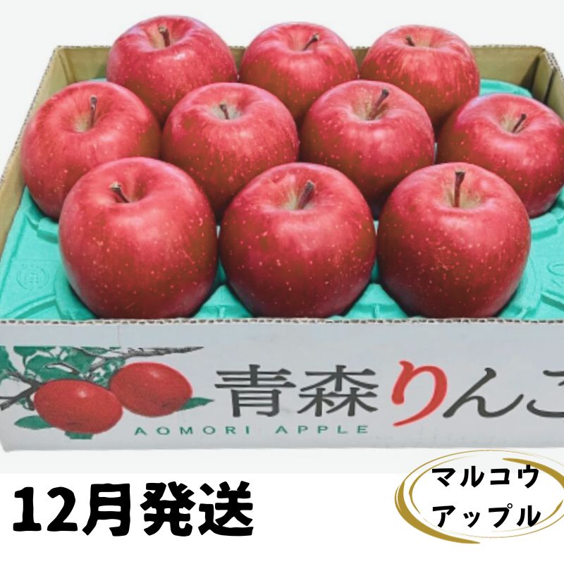 【ふるさと納税】【12月発送】訳あり 家庭用 濃厚サンふじ 約3kg 糖度13度以上【青森りんご・マルコウアップル】 リンゴ 林檎 フルーツ 果物 訳アリ 　お届け：2025年12月上旬～