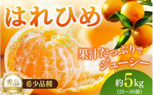 【先行予約】希少種みかん はれひめ 約5kg(25個～30個) 秀品 2026年12月中旬～2027年2月初旬頃に順次発送予定（お届け日指定不可）/ 和歌山 みかん はれひめ フルーツ 柑橘 蜜柑 果物 くだもの【kgr004A】