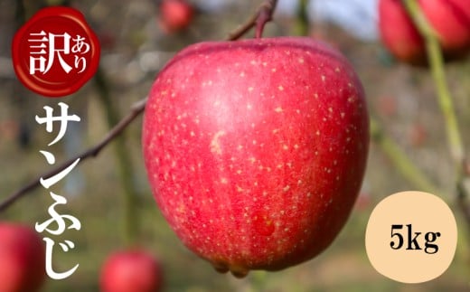 【訳アリ！ 】サンふじ5kg（ 川崎町産 ）りんご apple リンゴ 林檎 果物 フルーツ デザート スイーツ 果樹園 国産 新鮮くだもの フルーツ  産地直送 ご家庭 贈答 人気 ギフト 旬 数量限定 福岡県 川崎町
