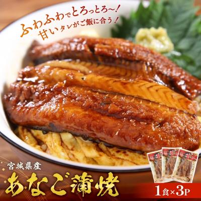 ふるさと納税 石巻市 宮城県産 あなご 蒲焼 (1食) 3パック入 冷凍 小分け 穴子 アナゴ 蒲焼き 魚 お魚 丼 寿司