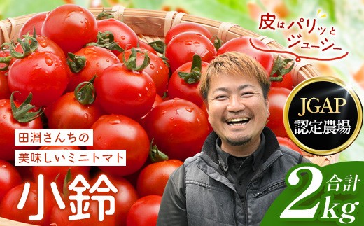
                  【先行予約・2026年12月より順次発送】田淵さんちの美味しいミニトマト 小鈴約2kg（1.0kg×2箱） GP-709|先行予約  野菜 トマト ミニトマト 産地直送 新鮮 おいしい お弁当 サラダ 南大隅町 鹿児島県 根占グリーンプラネット
                