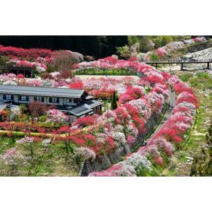 【阿智村】JTBふるさと旅行券（450,000円分）有効期間5年 | 予約 宿泊 観光 体験 温泉 ホテル 旅館 チケット 子供 子連れ カップル 家族 店頭 電話 阿智村