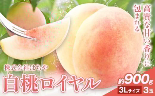 【2026年先行予約】岡山白桃 等級 ロイヤル 約900g《2026年7月上旬‐8月下旬頃出荷》もも モモ 岡山 国産 フルーツ 果物 岡山県 浅口市 株式会社 はちや フルーツ モモ 果物 青果 旬 白桃 国産 岡山県産【配送不可地あり】